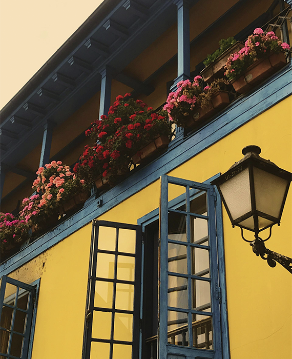 te ofrecemos la mejor asistencia